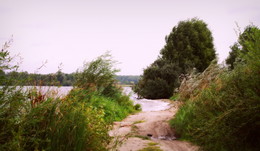 shore / ***