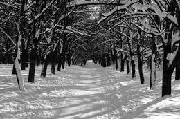 Winterflugplan / ***