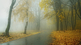 Herbstmorgen / ***