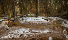 Der Frühling kommt / ***