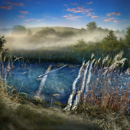 &nbsp; / v polyakh zatonuvshiy gustoy tuman