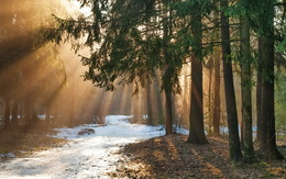 March morning / ***