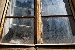 Through the glass / ***