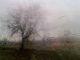 Through the glass / ***
