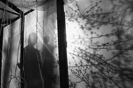 Through the glass / .....
