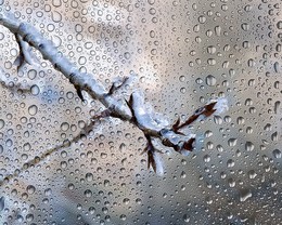 Freezing rain / ***
