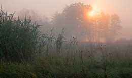 Das Gefühl der Morgendämmerung / ***