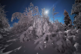 Silent Night / ***