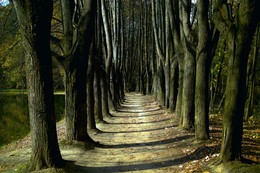 Alter Park / ***