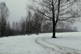 Outgoing winter / ***