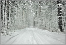 Weihnachtsstimmung / ***