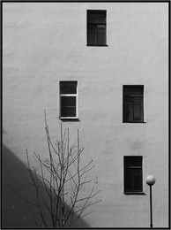 Spring / ***