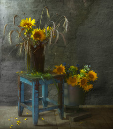 Summer in the old house ... / ...