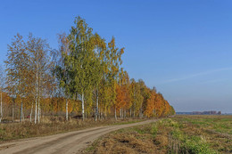 Secondary road / ***