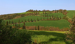 Secondary road / ***