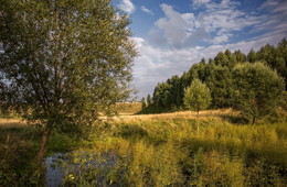 Geschmack des Sommers / ***