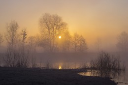 Foggy morning / ***
