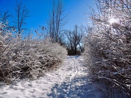 Februar-Morgen / ***