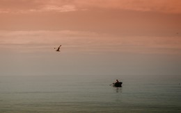 Der alte Mann und das Meer / ***