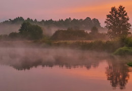 Dawn / ***