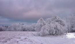 After snowfall / ***