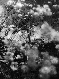 Dreams / ***