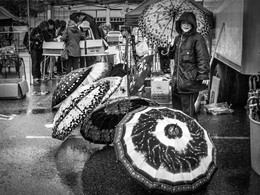 Umbrellas / ***