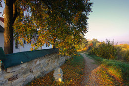 Bahn im Herbst / ***