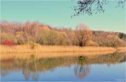 Spring colors / ***