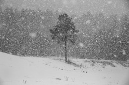 Last Snow / ..............