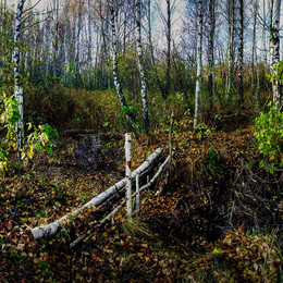 &nbsp; / peshekhodnyy most