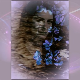 Picture / ***
