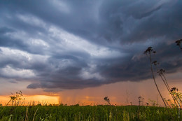 Storm / ***