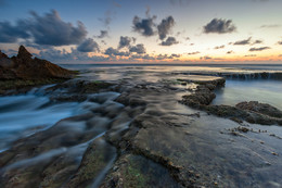 Mediterranean / ***