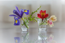 &nbsp; / sony nex7