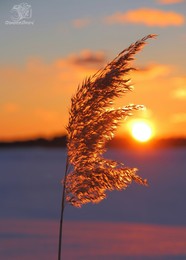 Sunset / ***
