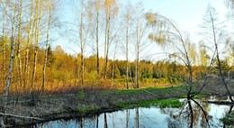 in early spring / ***