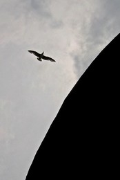 swallow's Nest / ***