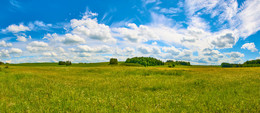 Feld / ***
