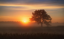Kalter Morgen / ***