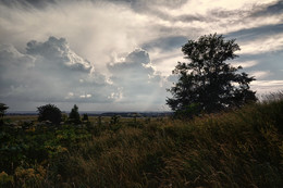 Vor dem Sturm / ***