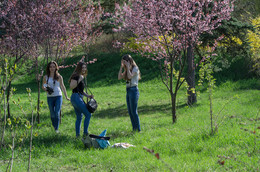 &nbsp; / [img]http://s014.radikal.ru/i327/1704/bc/9b5c95c3d501.jpg[/img]
[img]http://s020.radikal.ru/i713/1704/72/738ad0d685cd.jpg[/img]
[img]http://s010.radikal.ru/i311/1704/b2/ed88e2bf26c0.jpg[/img]
[img]http://s020.radikal.ru/i717/1704/be/af6fb2dfad97.jpg[/img]
[img]http://s019.radikal.ru/i625/1704/23/05926310f107.jpg[/img]
[img]http://s008.radikal.ru/i303/1704/26/ae2bfdce690e.jpg[/img]
