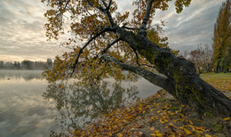 Herbst / ***