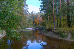 Forest Creek / ***