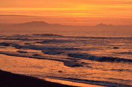 Orange mood / ***