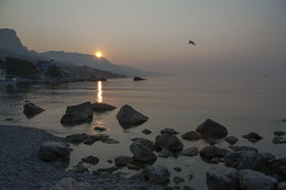 Sunrise / ***