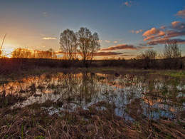 Paints Morgengrauen / ***