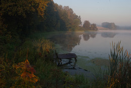 Kalter Morgen / ***