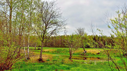 Der Frühling kommt / ***