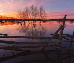 SPRING MORNING / ***